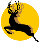 站点公告-乔伊社区